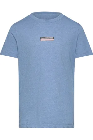 Tommy Hilfiger Monotype Striped Reg Tee Ss Blue