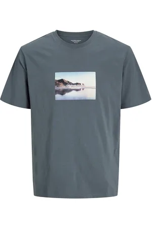 JACK & JONES Jorvesterbro Picture Tee Ss Crew Jnr Grey Jack & J S