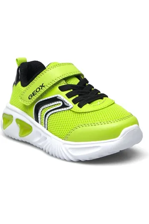 Geox J Assister Boy C Green