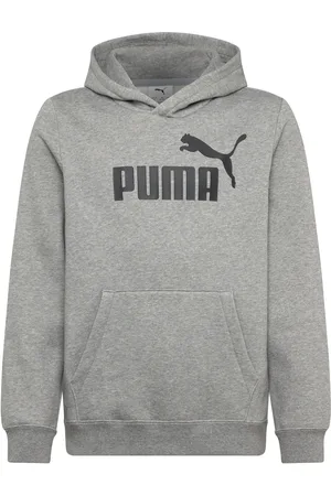 PUMA Ess No. 1 Logo Hoodie Fl B Grey