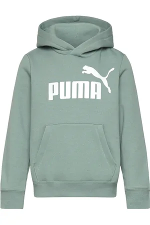 PUMA Ess No. 1 Logo Hoodie Fl B Green