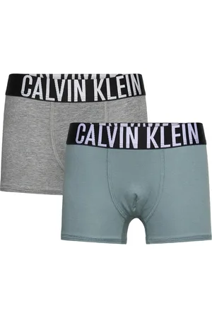 Calvin Klein 2Pk Trunk Grey