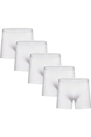 Shine Original 5 Pack Tights