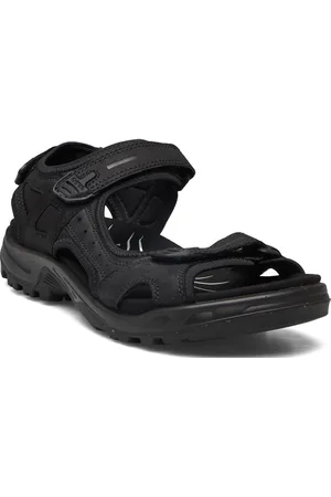 Ecco Offroad