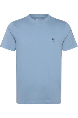 Abercrombie & Fitch Anf Mens Knits Blue