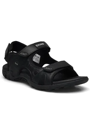 Exani Spider Pro M
