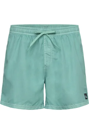Quiksilver Everyday Surfwash Volley 15 Green