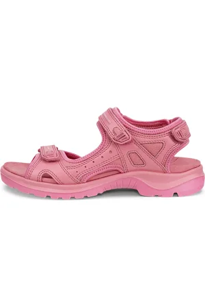 Ecco Offroad