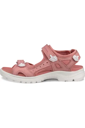 Ecco Offroad
