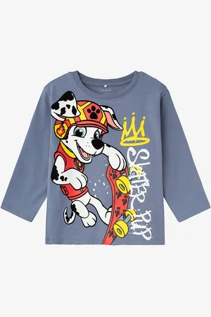 NAME IT T-paita nmmNord Pawpatrol LS Nreg Top Box