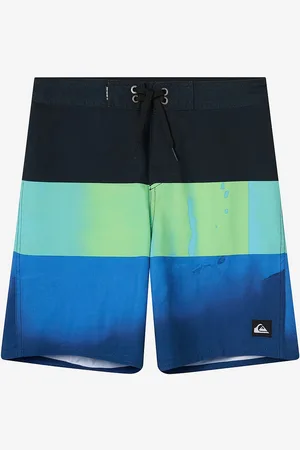 Quiksilver Uimashortsit Everyday Panel Yth 17