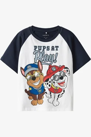 NAME IT T-paita nmmMulin Pawpatrol Nreg SS Top Cplg