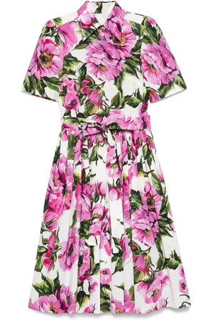 Dolce & Gabbana Peonie-print cotton midi dress