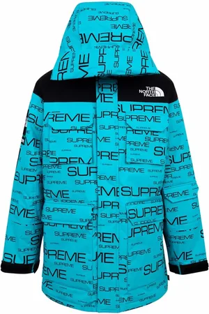 Supreme X The North Face Coldworks 700-fill down coat