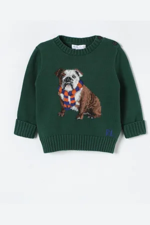 Ralph Lauren Sweater Kids color