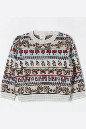 Fendi Sweater Kids color