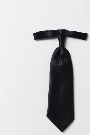corneliani Tie Men color