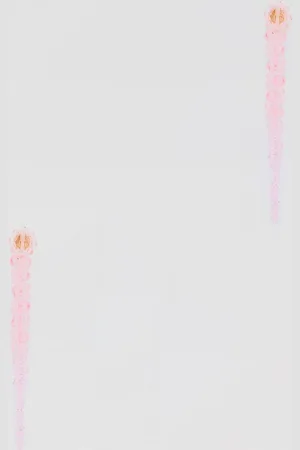 Simone Rocha Jewel Woman color