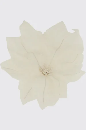 Nina Ricci Brooches Woman color