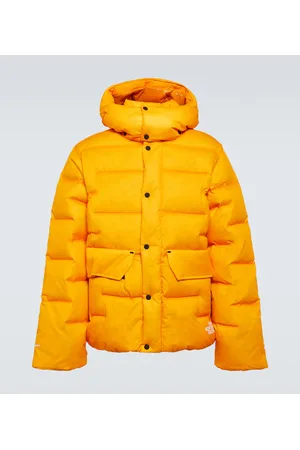 The North Face RMST Sierra parka