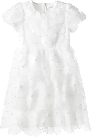 Self-Portrait Ruffled embroidered dress