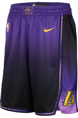 Nike Los Angeles Lakers 2024/25 City Edition Men