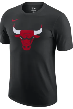 Nike Chicago Bulls Essential Men