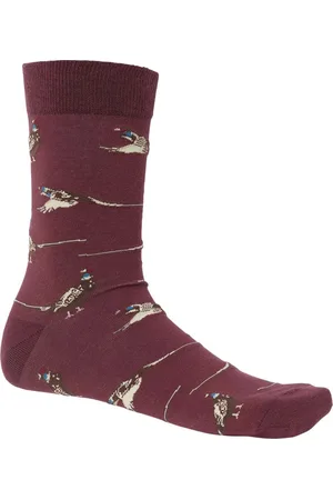 Chevalier Pomeroy Sock