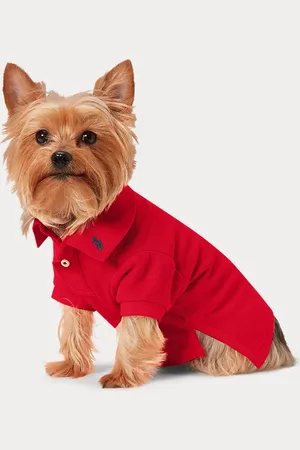 Ralph Lauren Cotton Mesh Dog Polo Shirt