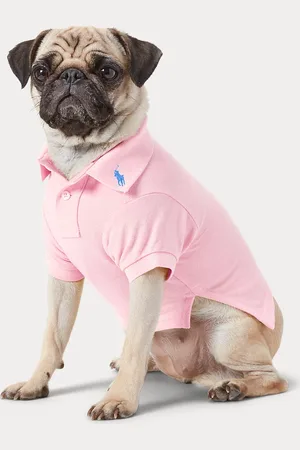 Ralph Lauren Cotton Mesh Dog Polo Shirt