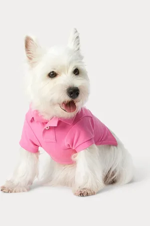 Ralph Lauren Polo Bear Cotton Mesh Dog Polo Shirt