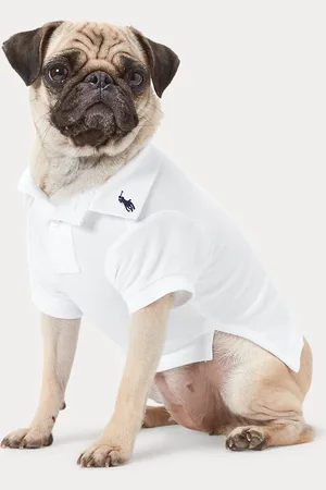 Ralph Lauren Cotton Mesh Dog Polo Shirt
