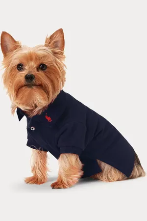 Ralph Lauren Cotton Mesh Dog Polo Shirt