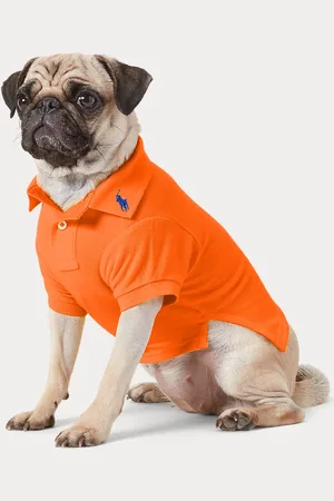 Ralph Lauren Cotton Mesh Dog Polo Shirt