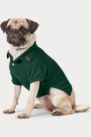 Ralph Lauren Cotton Mesh Dog Polo Shirt