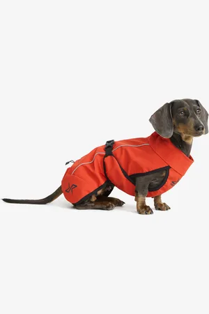 RevolutionRace Cyclone Dog Jacket Koira Pureed Pumpkin, Koko:30 - Asusteet > Koira