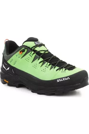 Salewa Kengät Alp Trainer 2 Gore-Tex® miesten kenkä 61400-5660 40