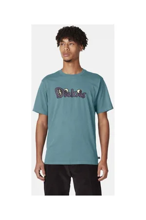 Dickies T-paidat & Poolot M franky ss graphic tee EU M