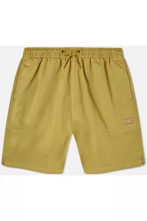 Dickies Shortsit & Bermuda-shortsit Pelican rapids EU S