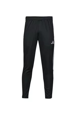 adidas Jogging housut / Ulkoiluvaattee TIRO23 CB TRPNT EU XXL