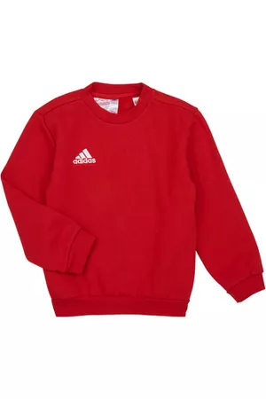adidas Svetari ENT22 SW TOPY 11 / 12 vuotta