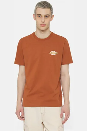 Dickies T-paidat & Poolot Ss ruston tee EU S