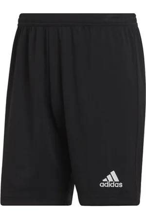 adidas 7/8 ja 3/4 housu Entrada 22 Shorts EU S