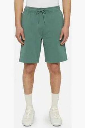 Dickies Shortsit & Bermuda-shortsit Mapleton short EU S