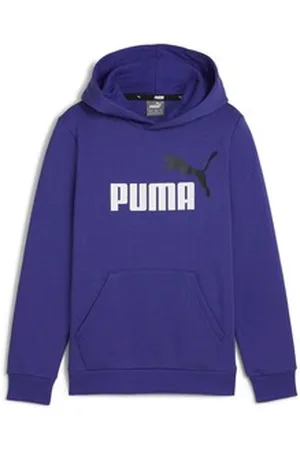 PUMA Svetari ESS+ 2 COL BIG LOGO HOODIE FL 15 / 16 Jahre