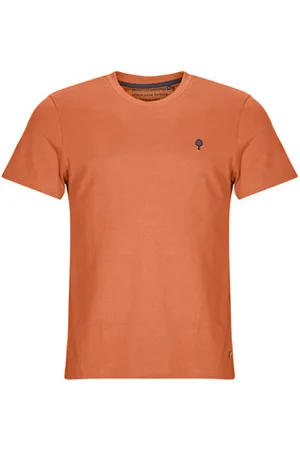 Faguo Lyhythihainen t-paita ARCY T-SHIRT COTTON EU XL