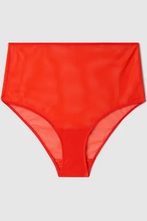 Understatement Mesh Highwaist Briefs